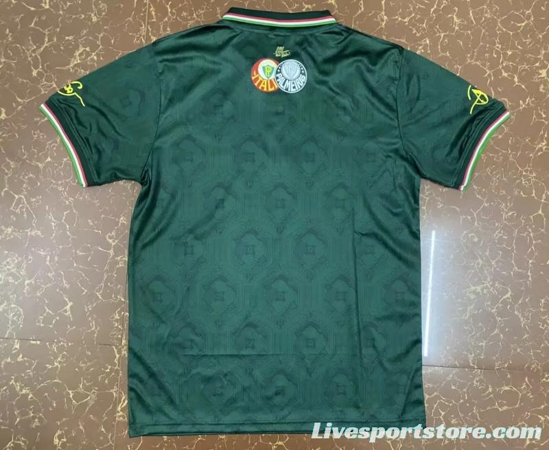 22/23 Palmeiras Green Special Jersey