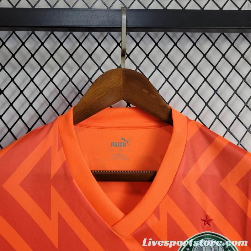 24/25 Palmeiras Orange Goalkeeper